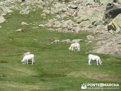 Ruta senderismo Peñalara - Parque Natural de Peñalara; equipo senderismo verano